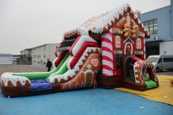 IMG 6285 1760034517 Gingerbread Double Lane Combo (Wet or Dry)