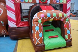 Gingerbread Double Lane Combo (Wet or Dry) IMG 6288 1760034517 Gingerbread Double Lane Combo (Wet or Dry)