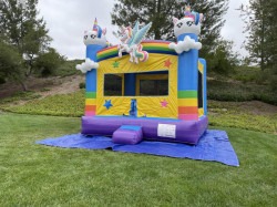 a9e0e546a0c317c79795127bc4188344 1738412183 Unicorn Bounce House